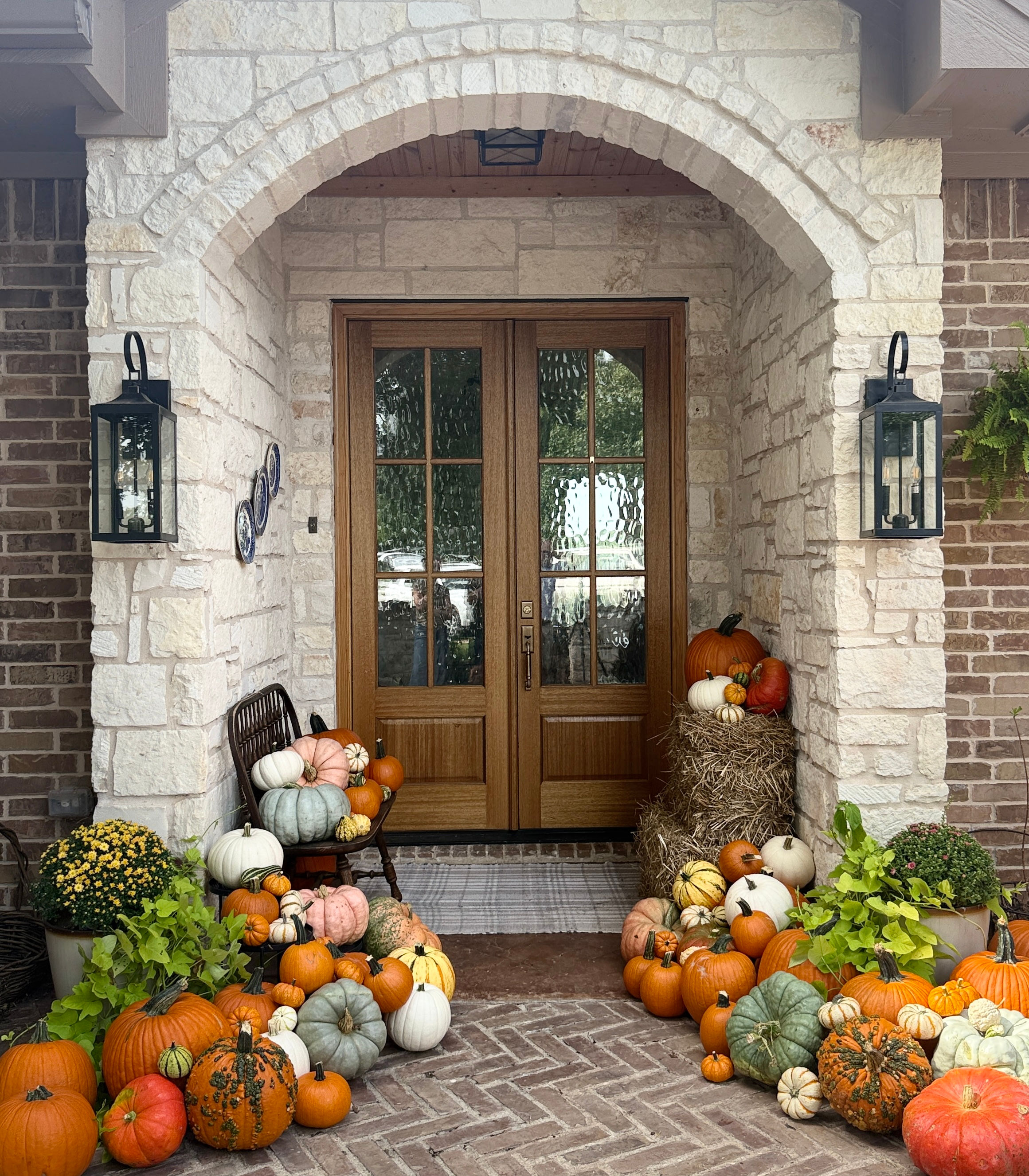 Absolutely Gourd-geous