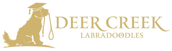 Deer Creek Labradoodles logo