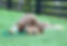 Scout 2.jpg