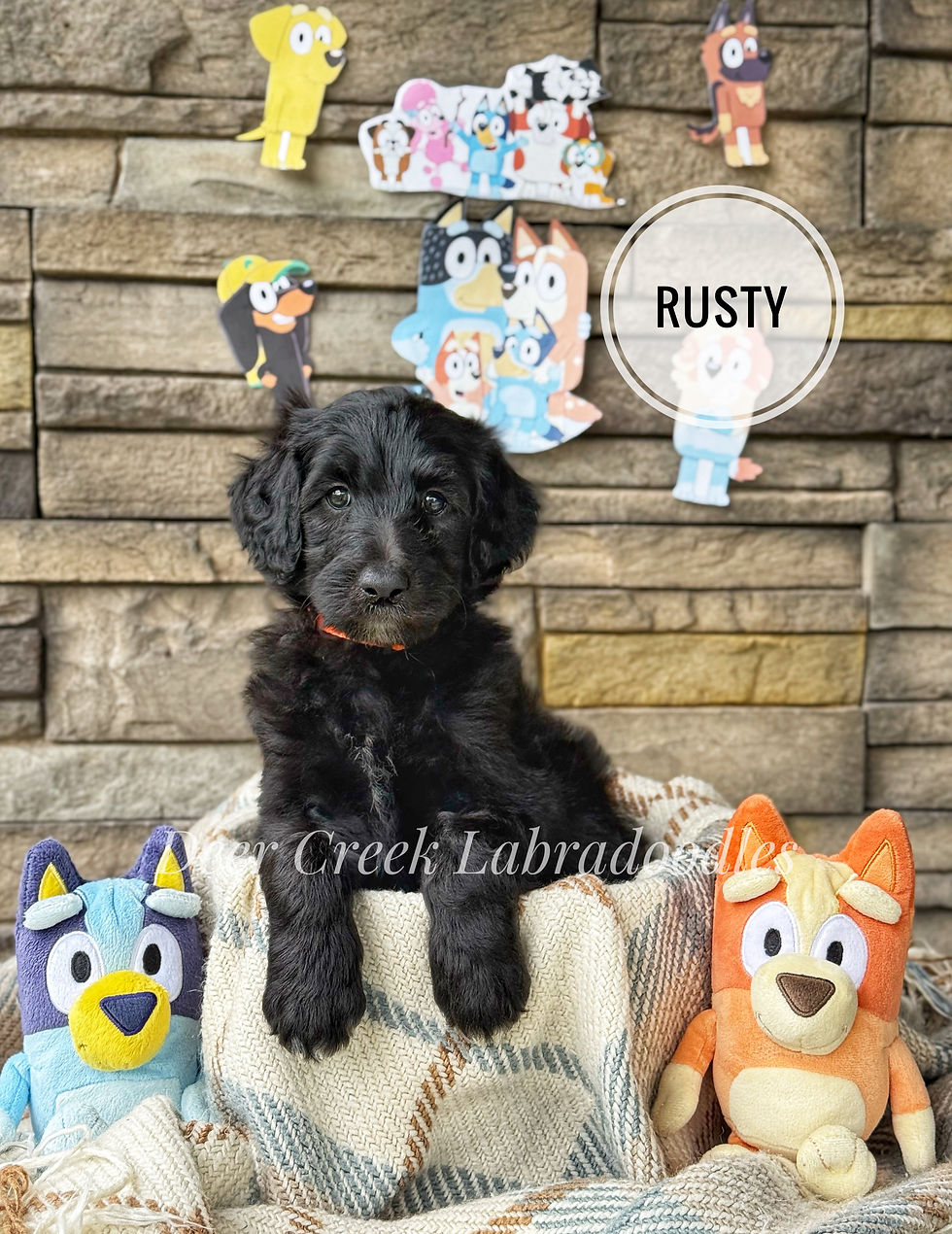 Rusty
