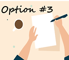 option 3.png