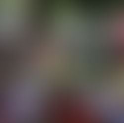 Annulation du Festi'Luys 2020