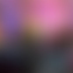 Du 14 au 27 juillet, Festival International de Musique de Chambre de Thèze