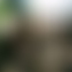 Mise en place d'une nouvelle passerelle en Soubestre