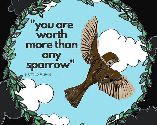 Sparrows Collection 2022