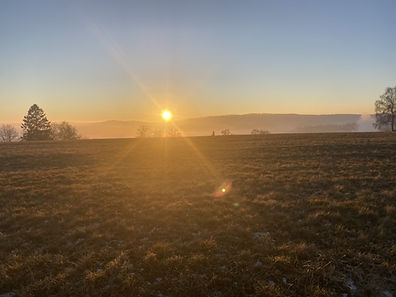 sonne untergehnd.jpg