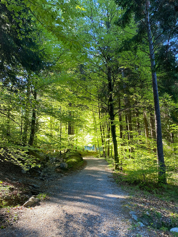 naone waldlichtung.jpg