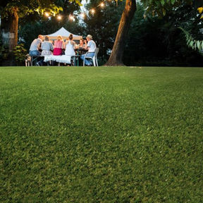 Oryzon artificial grass in a garden, family seated in the background