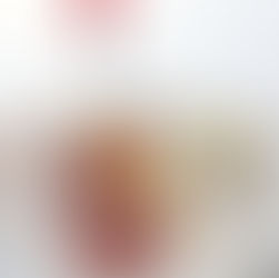 Meat dishes from tasting menu