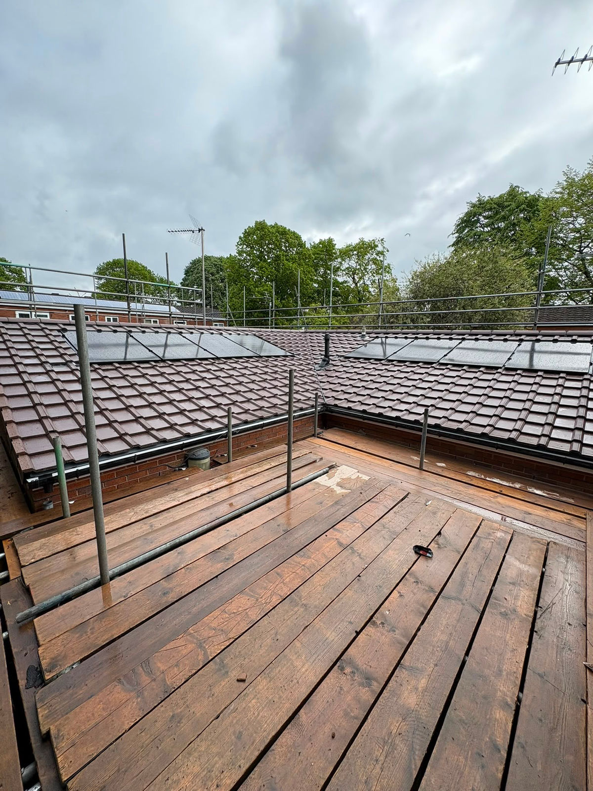A clearer view before roofing work begins