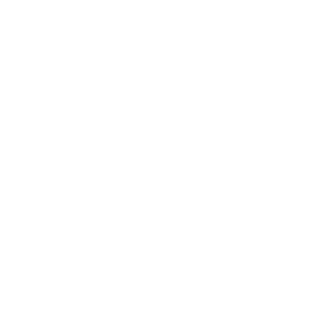 PT Black logo