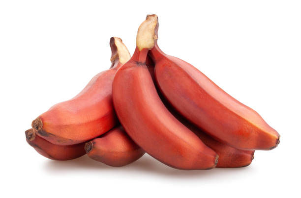 Red Dacca ( Red Banana )