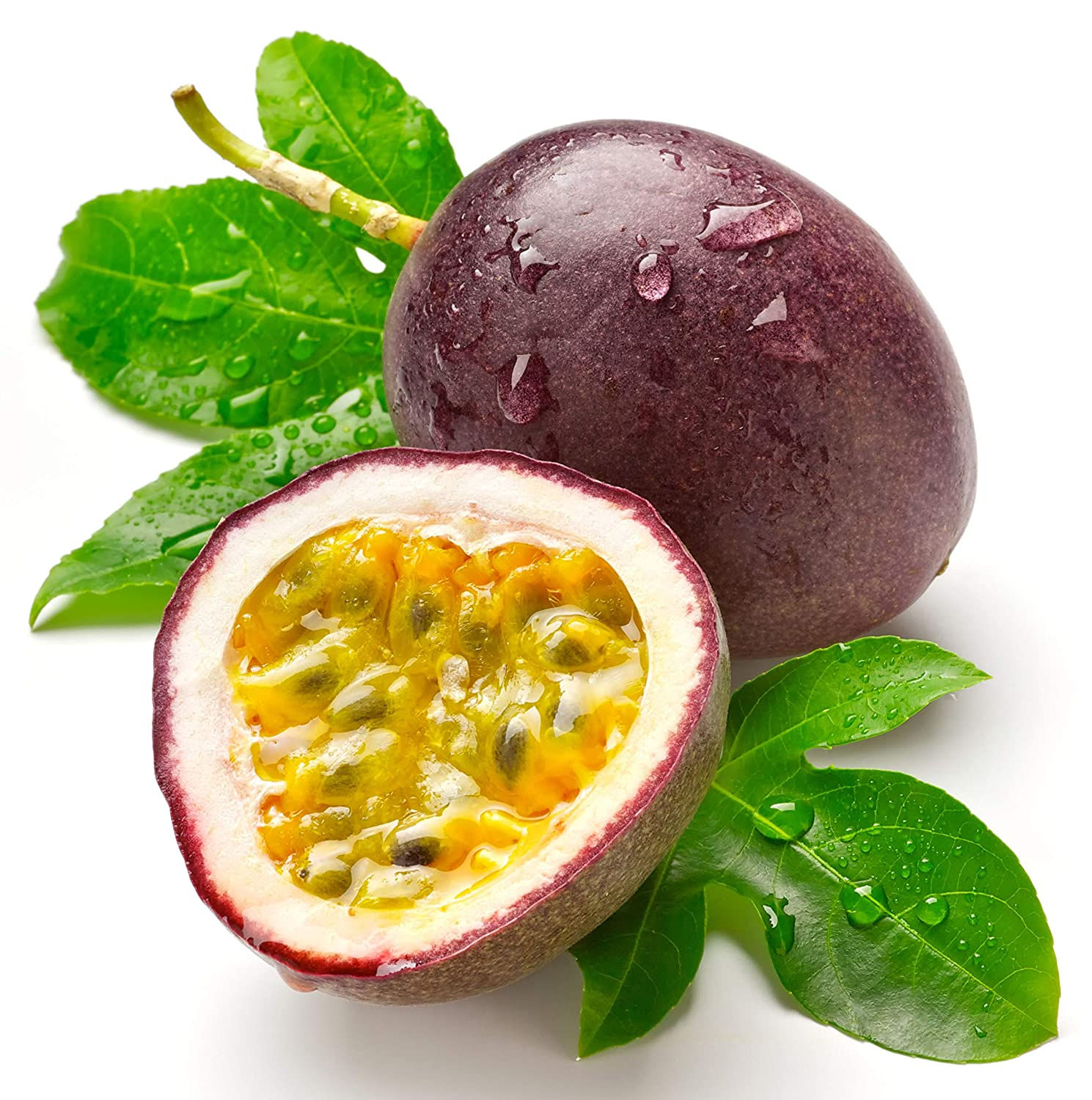 Purple Passion fruit - Passiflora edulis