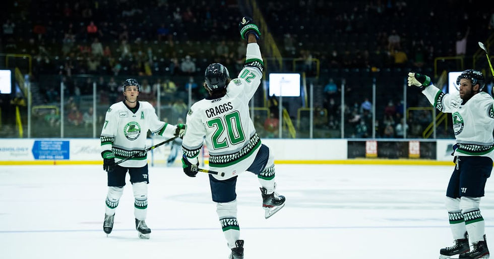 Everblades Fundraiser