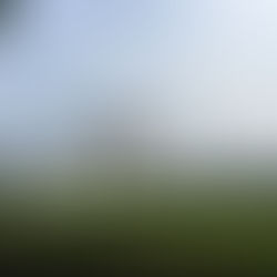 Taiwan : Mempertanyakan Identitas