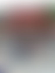 Jepang : Harmoni di Ujung Timur