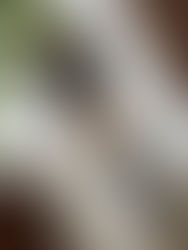 スカートたくし上げパンティ画像8枚