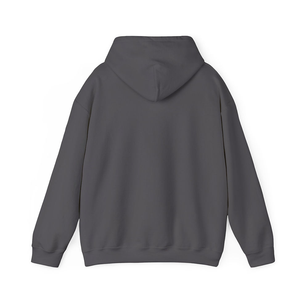 Thumbnail: PASC Strikethrough Unisex Heavy Blend™ Hooded Sweatshirt