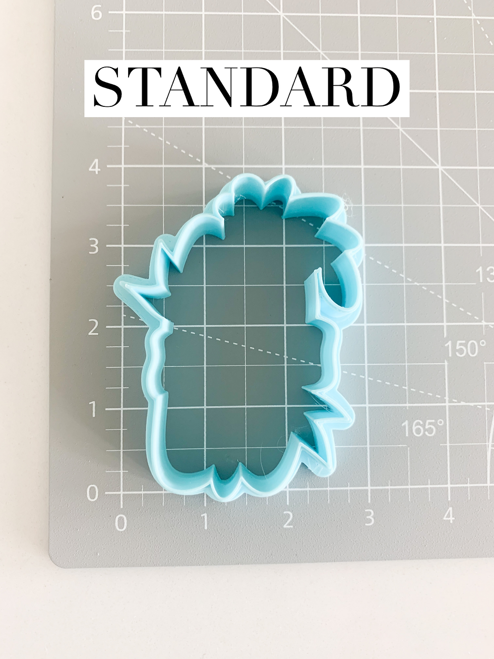 Thumbnail: Skinny Pumpkin with Ribbon