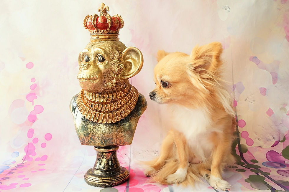 Miniaturbild: Exquisite, handbemalte Affenbüste – Höhe ca. 35 cm