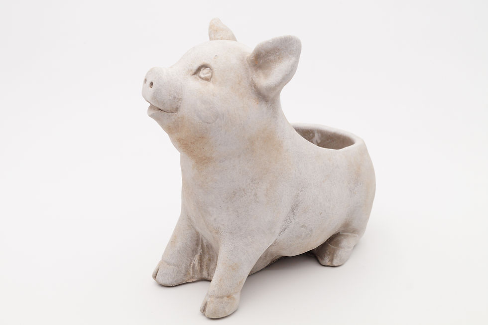 Miniaturbild: Schweinchen Blumentopf aus Steinguss