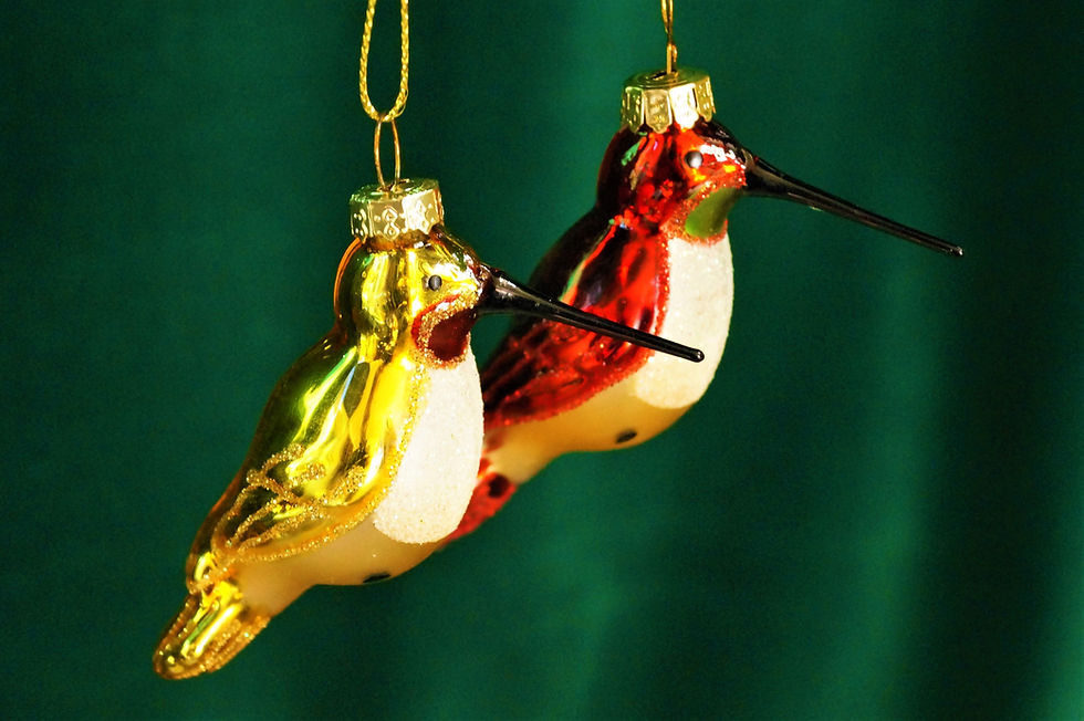 Entzückender Kolibri – spektakulärer Christbaumschmuck