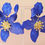 Miniaturbild: Extravagante Ohrringe aus leichtem Acryl Blüte blau