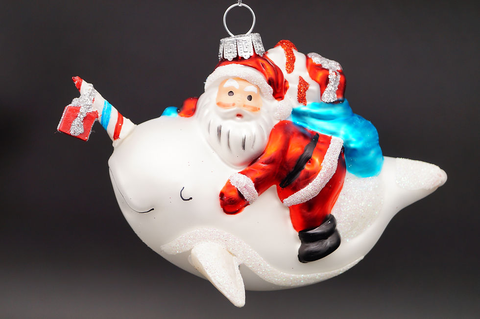 Weihnachtsmann auf Narwal - Santa