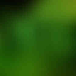 Underground Vault Tour