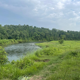 River in Chitwan