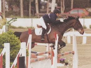How Horse Riding Made Me A Better Dog Trainer