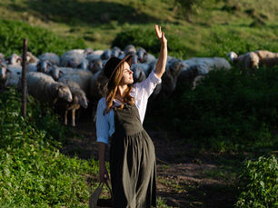 The Role of The Shepherd