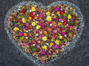 Can’t You See It? The Transforming Power of God’s Kindness