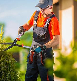 Midland-TX-Lawns-Tree-and-Shrub-Care-1-l