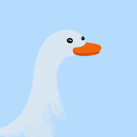 hello goose.gif
