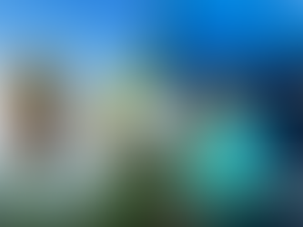 James Bond Island vs Phi Phi Island: Which Tour Should You Choose?