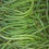 Thumbnail: Groenbone/Green beans - 500g