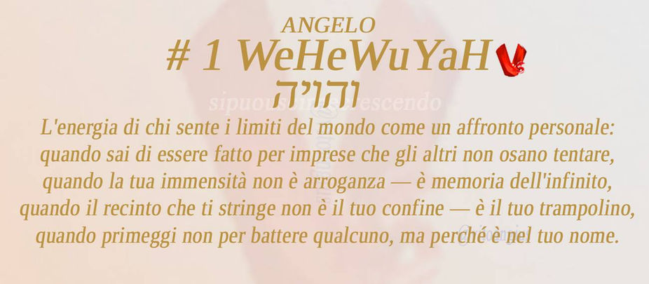 Copertina 1 WeHeWuYaH: L'energia di chi sente i limiti del mondo come un affronto personale