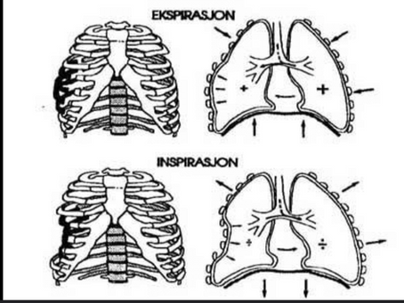 胸廓創傷衝場你必須知道的事!|運動醫學