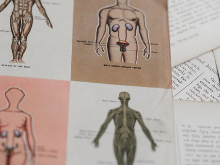 背解剖背到麻木了?一起來看有趣的解剖名稱!!|解剖知識