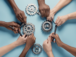 Building Brighter Futures: SESS's Employment Development Programs