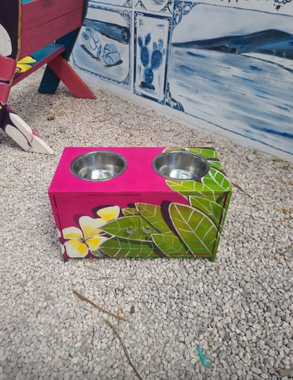customized pet dinner cabinet with art