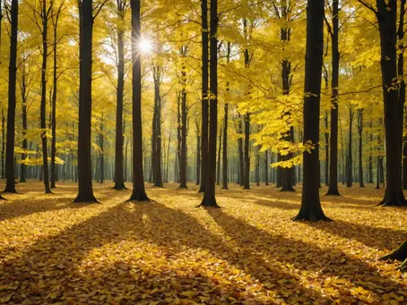 Thanksgiving Reflection: Embracing the Gifts of Nature for Peace and Gratitude