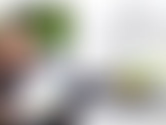 The Fruit-Tabulous Collection!