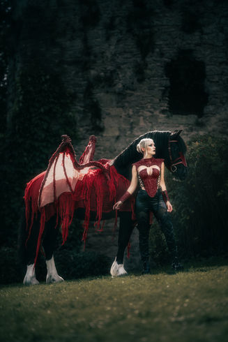 Fantasy Equine Photoshoot Welsh Dragon Horse
