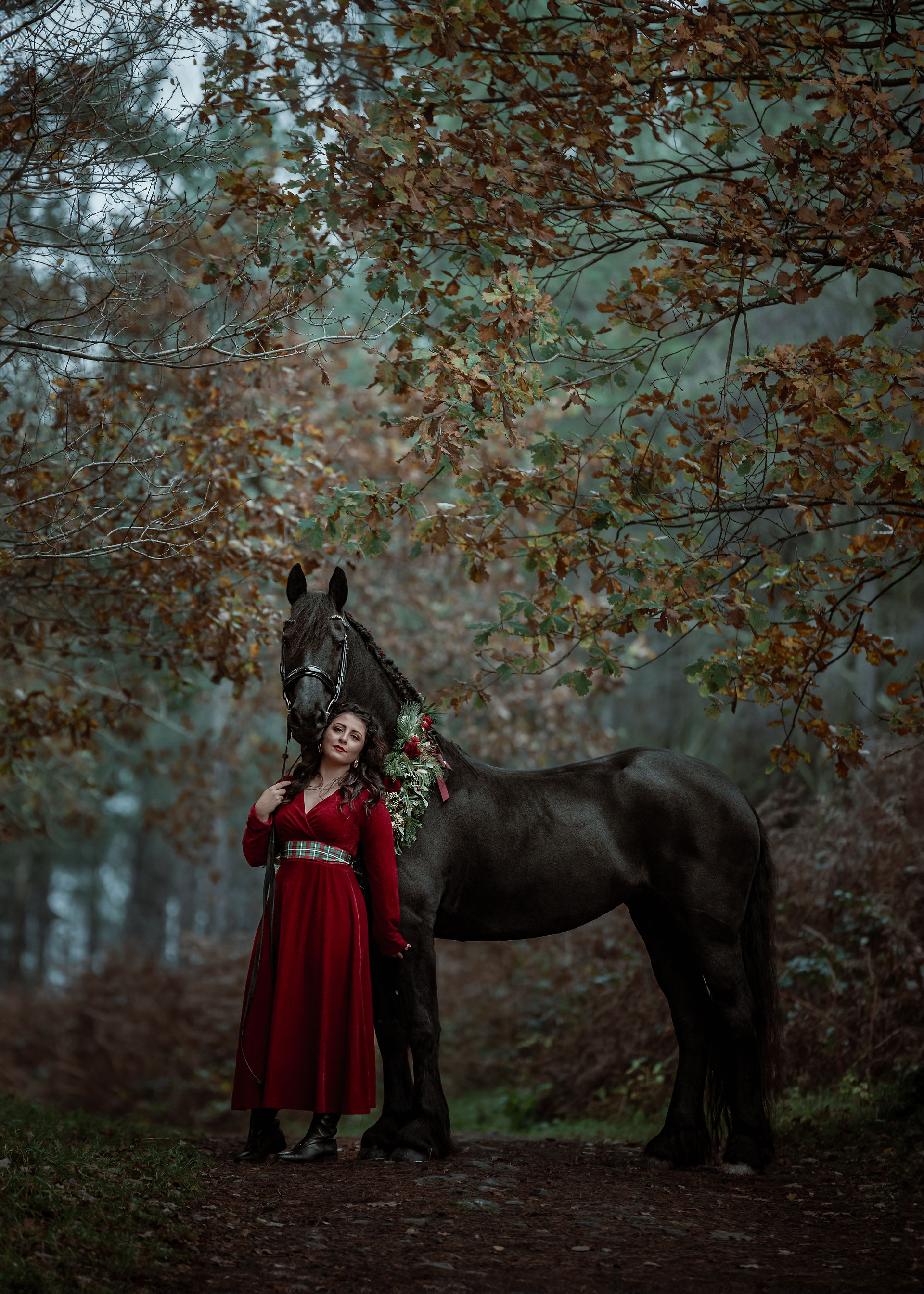 A Christmas themed equine photoshoot with a girl in a red dress and a black friesian horse