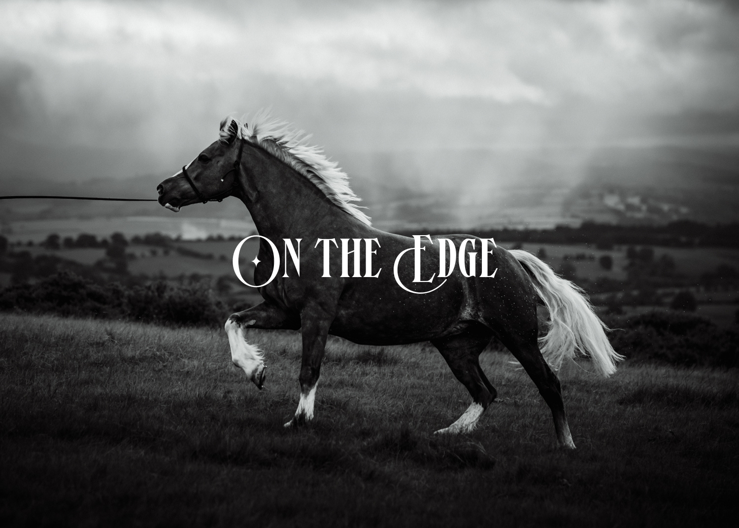 'On The Edge' - Fiercely Flo Equine Photography Preset