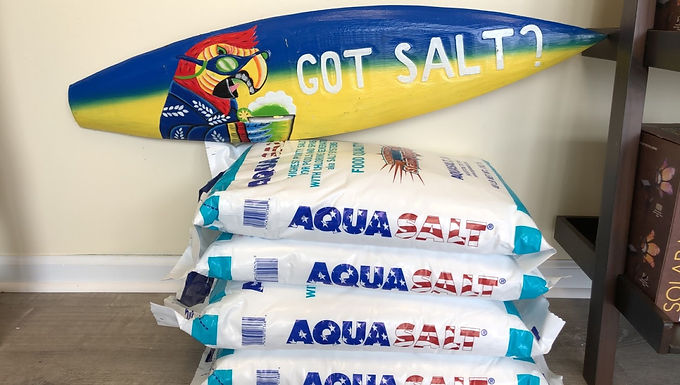 Salt