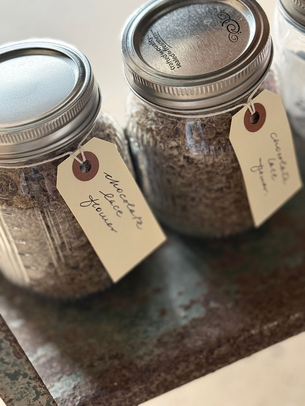 Thumbnail: Mother's Day Seed Bundle