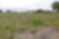 Land at Edey Village, Ch.Ch